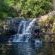 Zebras Crossing Boutique Lodge - 167399