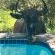 Call of the Fish Eagle - 167476