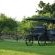 eBundu Lodge - 167607