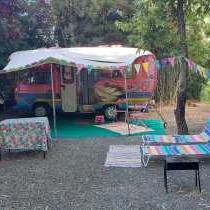 Gypsy Vans - 167659