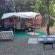 Gypsy Vans - 167659