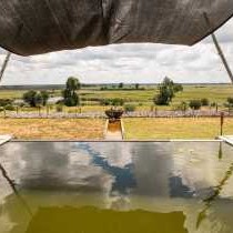 Kazondwe Camp and Lodge - 168584