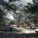 Kazondwe Camp and Lodge - 168590