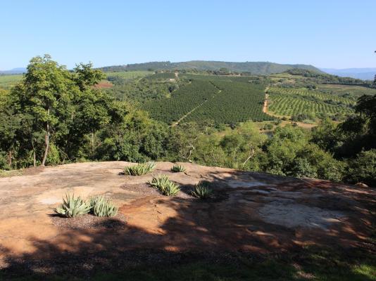 View from Deck towards the Escarpment