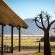 Desert Camp - 169154