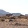 Desert Camp - 169155