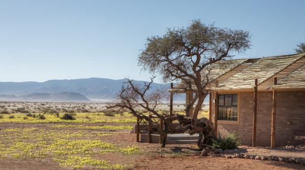 Desert Camp - 169157
