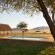 Desert Camp - 169173