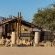 Desert Camp - 169175
