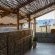 Desert Camp - 169179