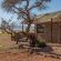 Desert Camp - 169181