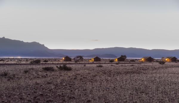 Desert Camp - 169183
