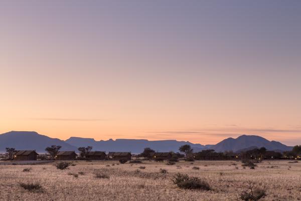 Desert Camp - 169186