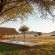 Desert Camp - 169187