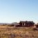 Desert Camp - 169189