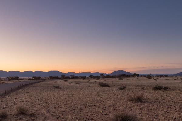 Desert Camp - 169190