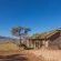 Desert Camp - 169196