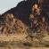 Desert Camp - 169198