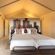 Desert Camp - 169199