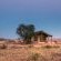 Desert Camp - 169206