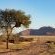 Desert Camp - 169208