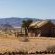 Desert Camp - 169213
