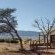 Desert Camp - 169216