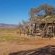 Desert Camp - 169218