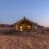Desert Camp - 169222