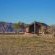 Desert Camp - 169226