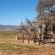 Desert Camp - 169227