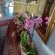 Amatola Mountain View Guesthouse - 169659