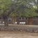 Rooiheuwel Holiday Farm - 169818
