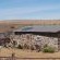 Rooiheuwel Holiday Farm - 169837