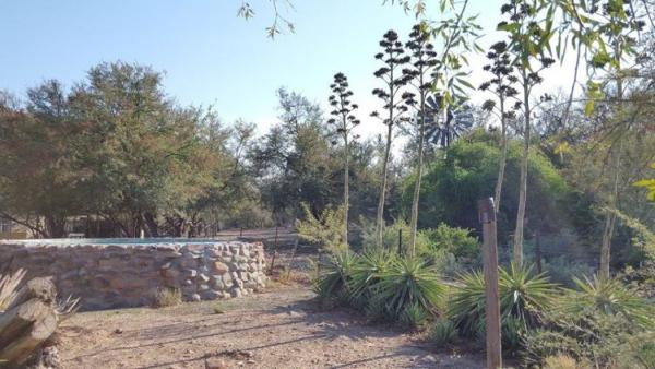 Rooiheuwel Holiday Farm - 169844