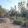 Rooiheuwel Holiday Farm - 169844