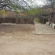 Rooiheuwel Holiday Farm - 169848