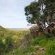 Woodbury Lodge - 170237