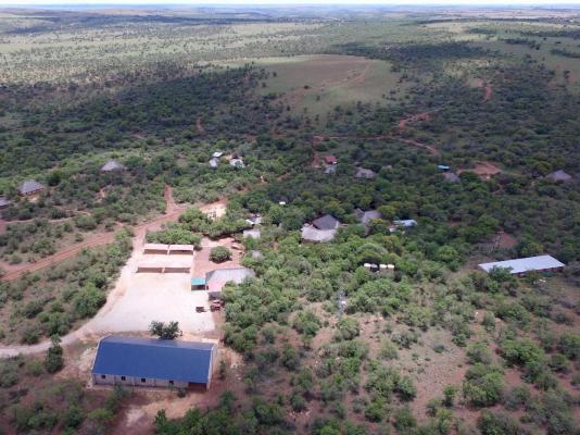 Inyala Game Lodge - 170274