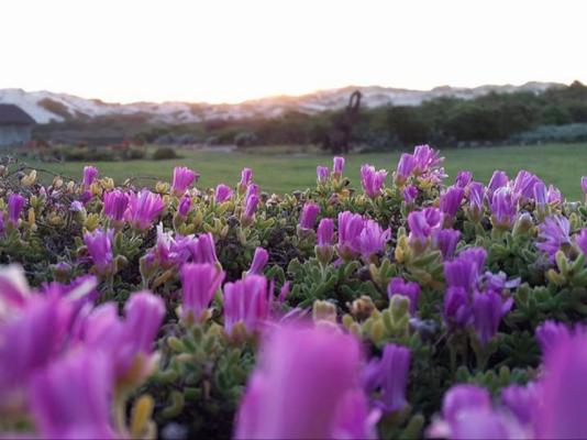 Draaihoek Lodge & Restaurant - 170448