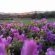 Draaihoek Lodge & Restaurant - 170448