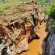 Masorini Bush Lodge - 170503
