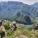 Masorini Bush Lodge - 170504