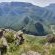 Masorini Bush Lodge - 170504