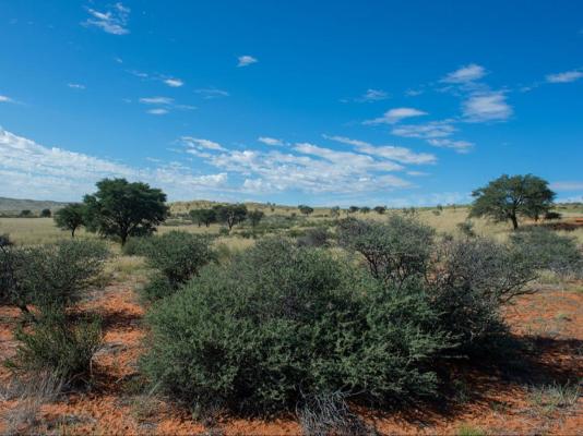 Zoutpanputs Game Lodge - 170627