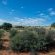 Zoutpanputs Game Lodge - 170627