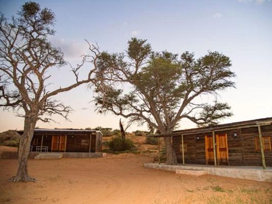 Zoutpanputs Game Lodge - 170633