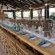 Wedding/Conference/Functions