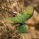 Savanna Private Game Reserve - 171395