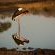 Savanna Private Game Reserve - 171396